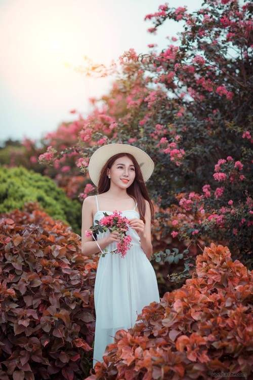 Vietnamese Photographer (1034)